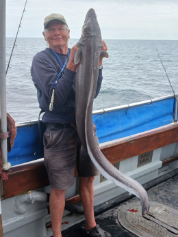 conger