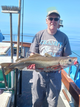 13lb pollack