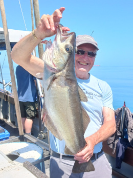 13lb pollack