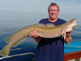 17lb ling