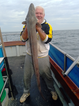 conger