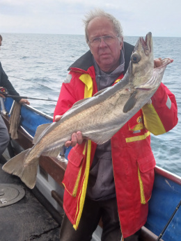 12lb pollack